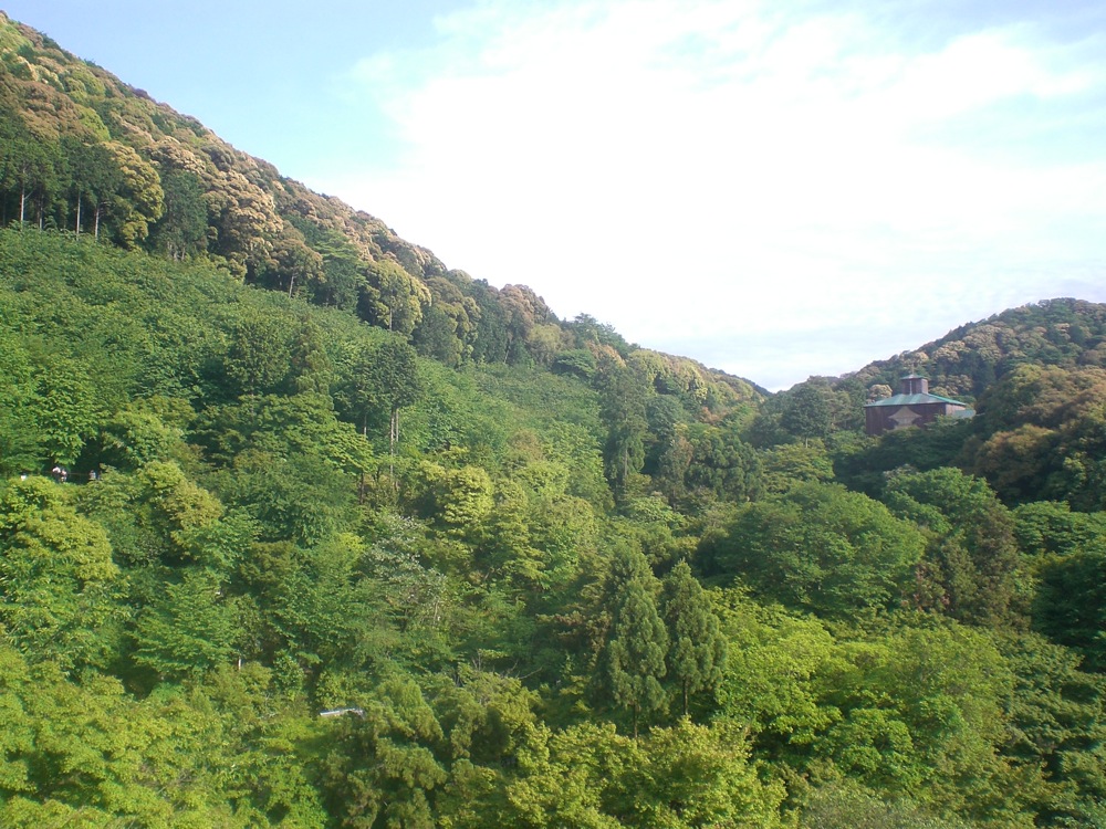 Ce temple se trouve dans la montagne Higashiyama, à l'est de la ville