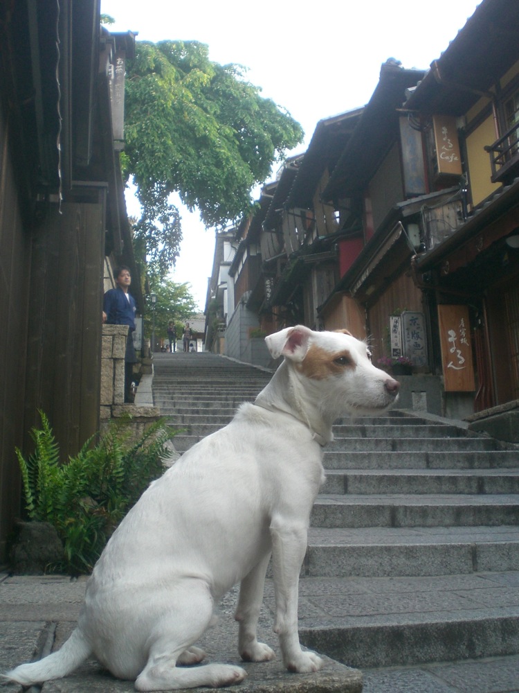 Ruelles touristiques de Higashiyama: Ninenzaka et Sannenzaka