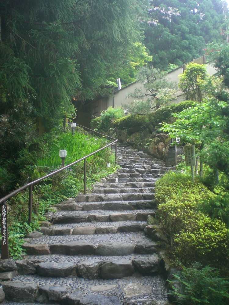 Voici les escaliers qui conduisent aux bains: des sources chaudes en extérieur nous attendent là-haut en pleine nature!
