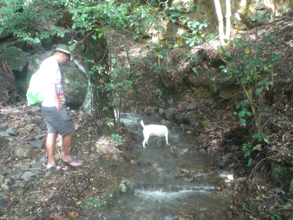 Nous continuons la balade... en forêt