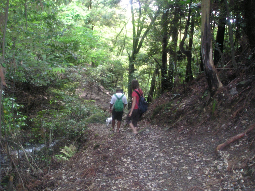 C'est chouette d'avoir une forêt à proximité du centre ville de Kyoto alors on en profite!