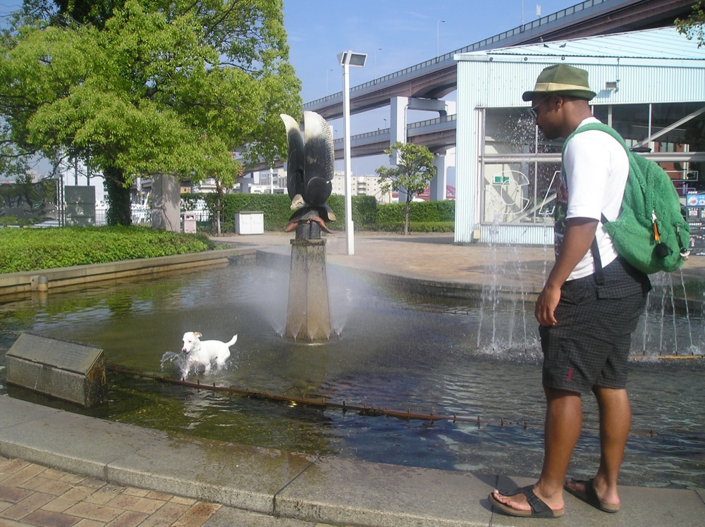 Surpris par les jets d'eau!
