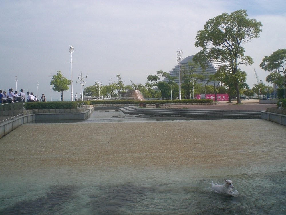 La large fontaine du parc du mémorial plaît beaucoup à Carlo