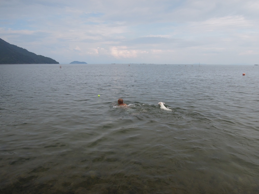 Le lac Biwa: pause baignade sur la route: qui sera le premier à attraper la balle?!
