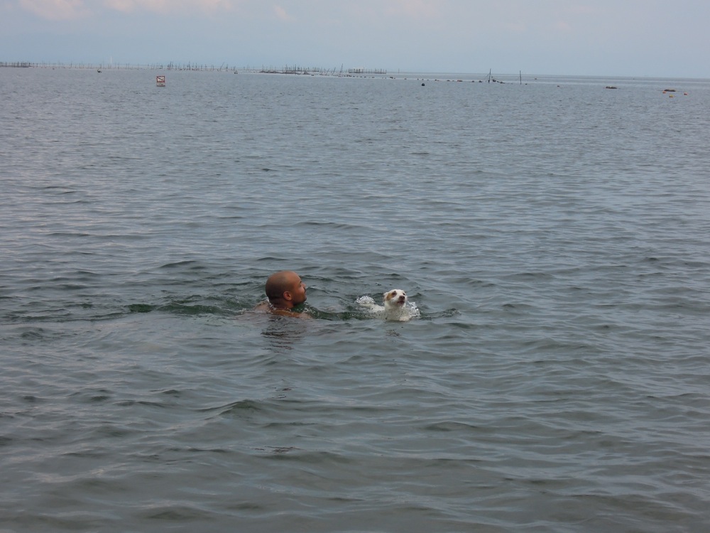 Il fait bon se baigner dans la lac Biwa avec cette chaleur!