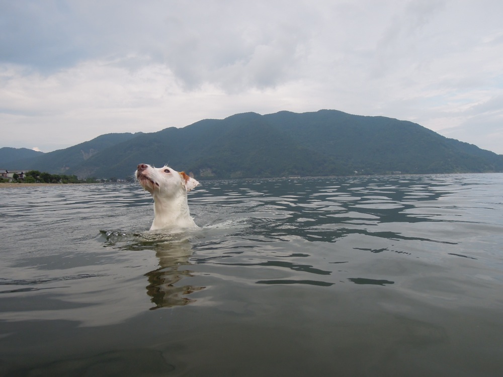 Carlo n'a d'yeux que pour sa balle!