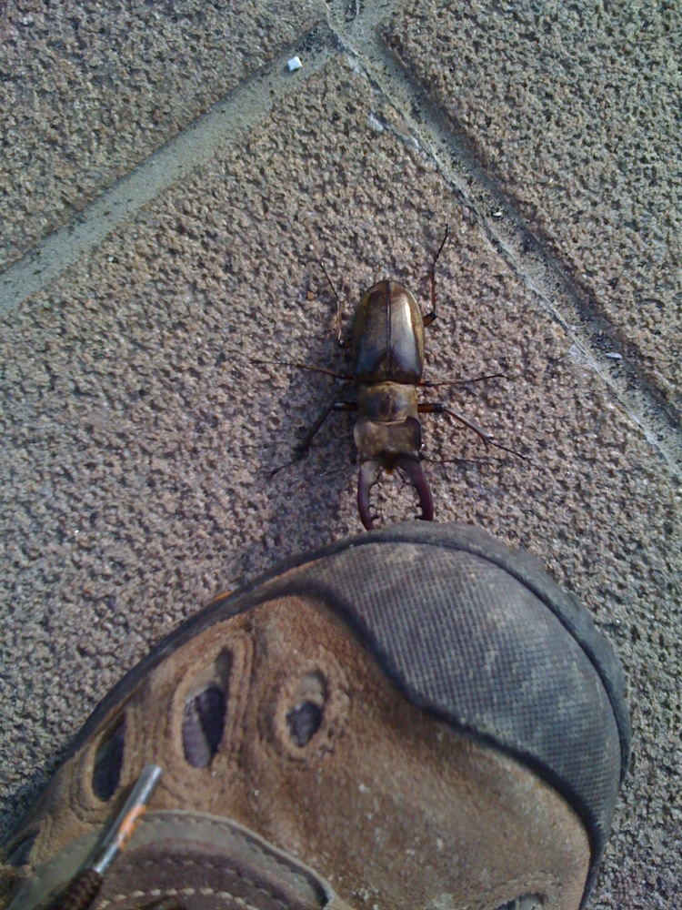 Bien sur, il y a certains voisins qu'on préfèrerait ne pas trop rencontrer (c'est souvent comme ça, non?!)