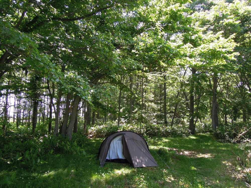Campement improvisé dans cette mini jungle pleine de bestioles. Mais c'est joli (et humide!)