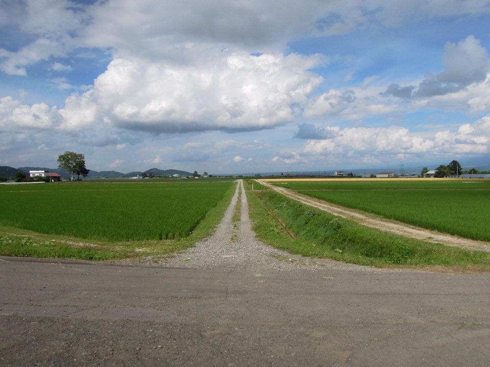La région de Furano est une grande vallée au pied des montagnes du Daisetsuzan