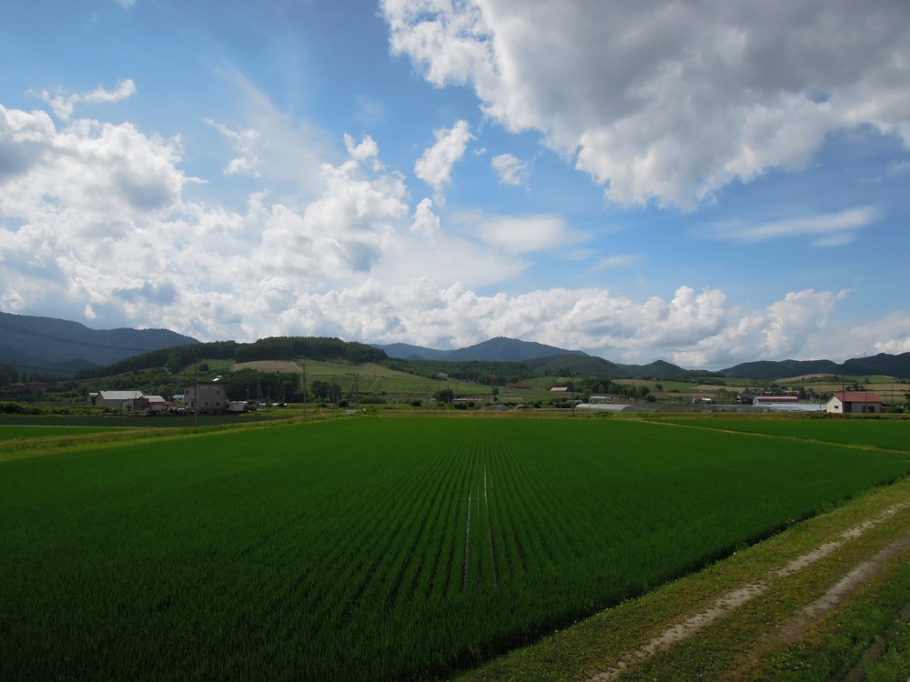Paysages de Furano et sa région