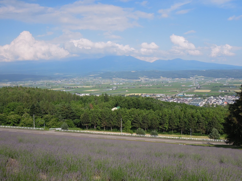 Vue sur Furano et sa vallée depuis des champs de lavande