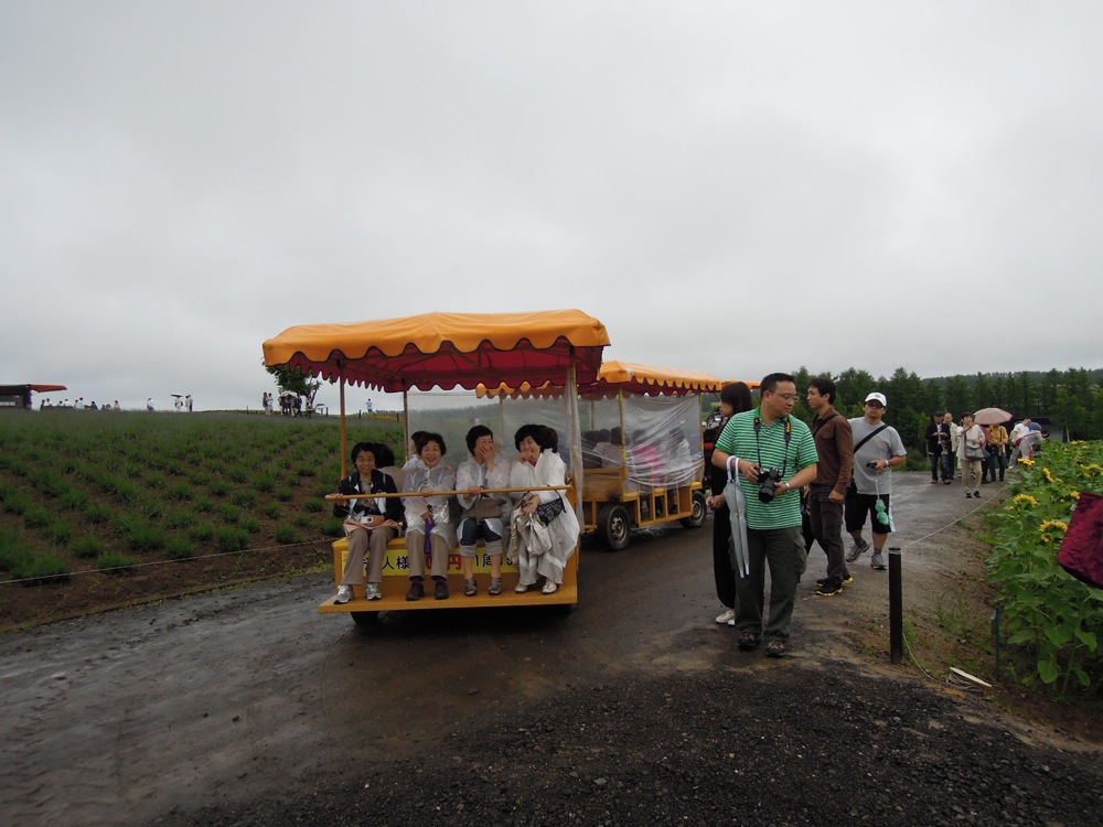 Balade en tracteur au milieu des fleurs: une idée à développer en Haute-Saöne peut-être?! Ici en tous cas, ça marche!