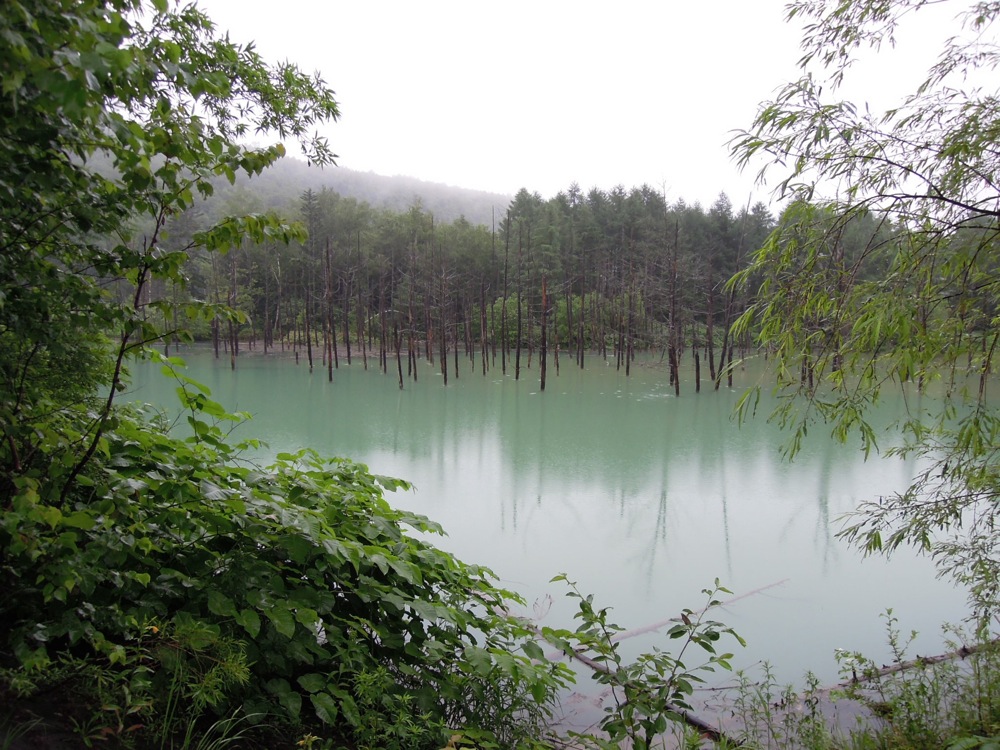 Source bleue dans les environs de Biei. Le mauvais temps rajoute une touche de mystère à l'endroit