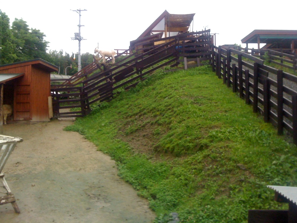 La biquette sait choisir sa place!