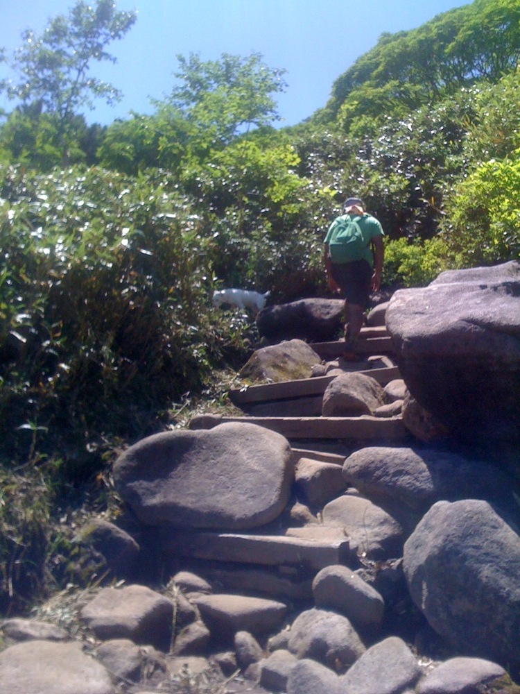 Un chemin de rando? On dirait plutôt de l'escalade...non?!