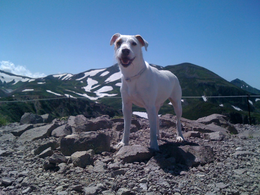 Carlo au sommet du Mt Kurodake
