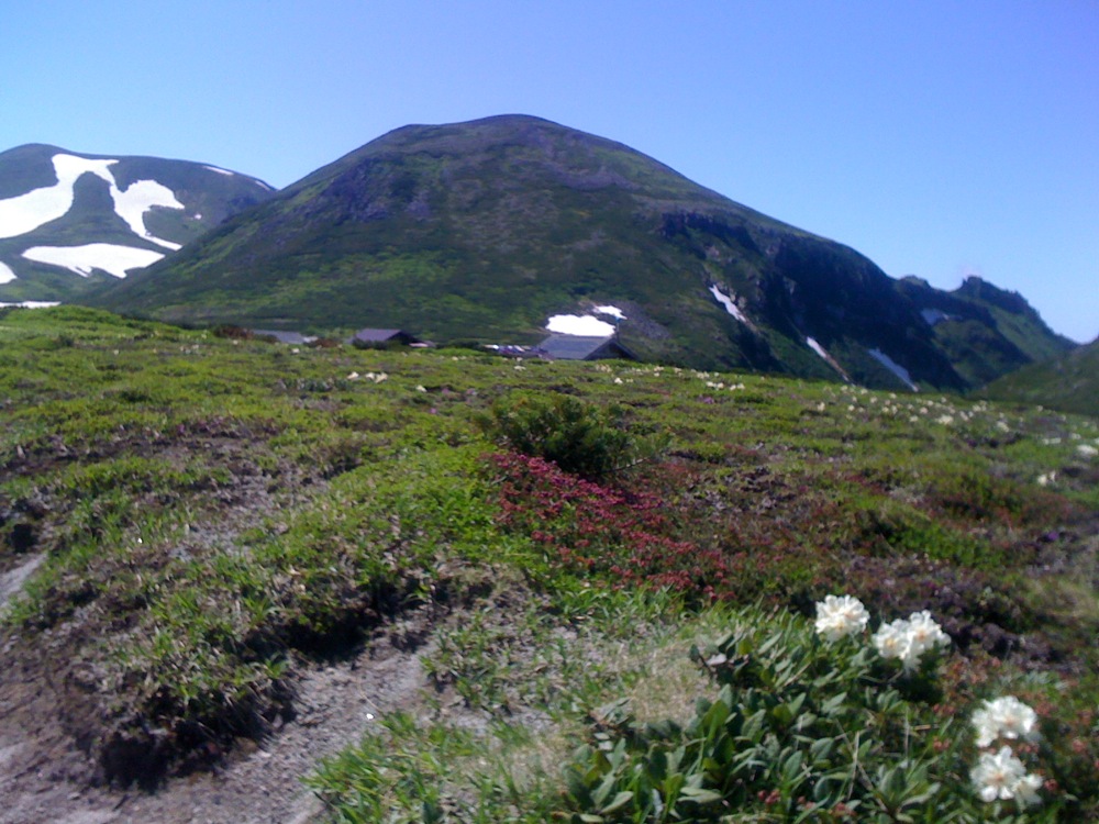 Marche du Mt Kurodake: des fleurs!