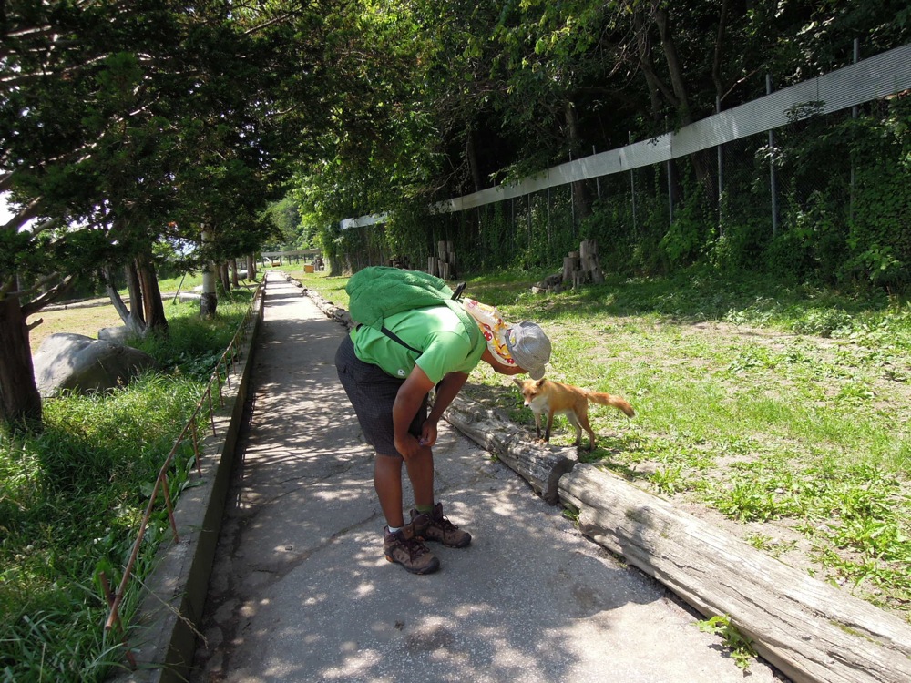 Parc des renards de la région