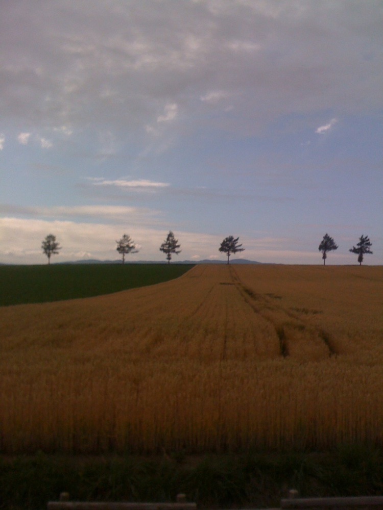 Une des photos les plus connues de la région! Avec mon iPhone, ça ne donne pas grand chose mais bon!
