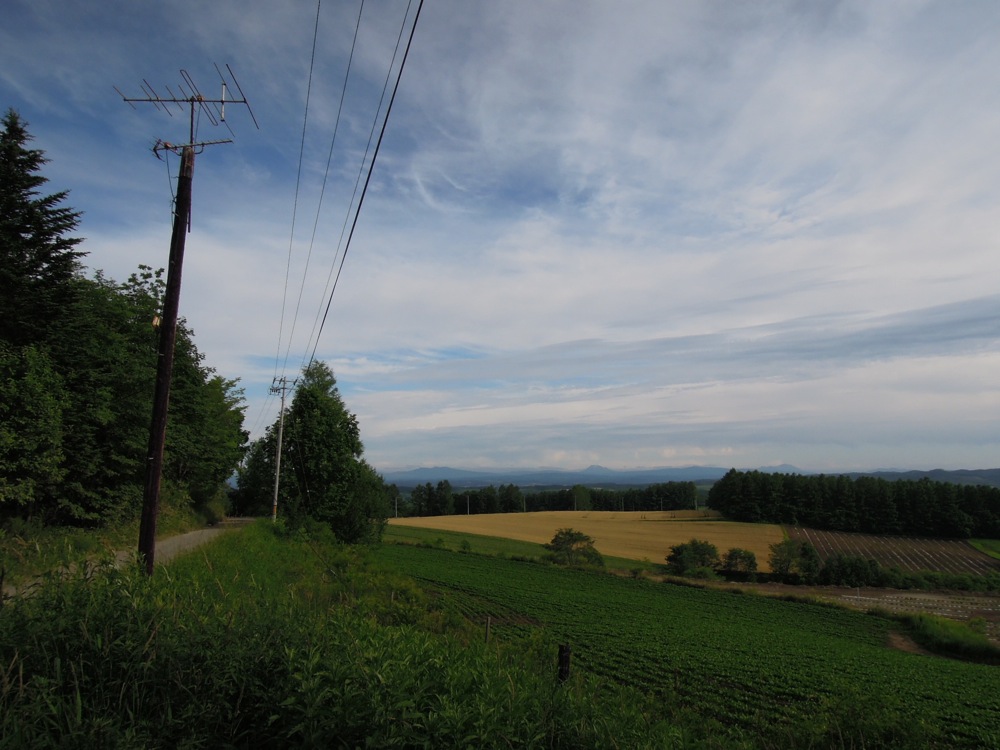 Paysage sur la route