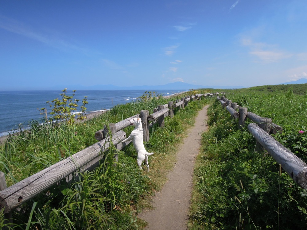 Entre Abashiri et Shari
