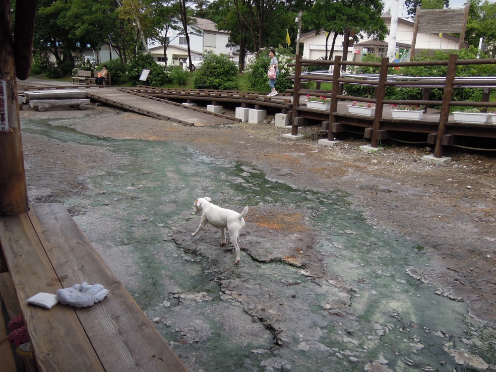 En ville, on trouve une aire de pic-nic et un drôle de bain de pied brûlant: ici c'est la rivière qui alimente le bain