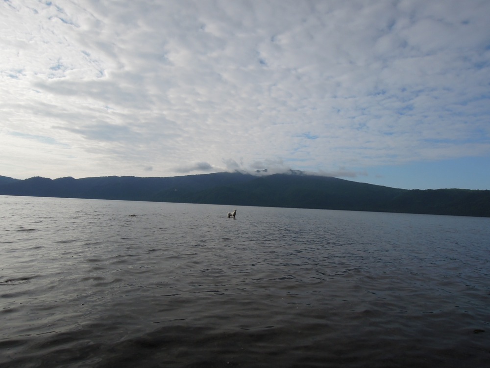 Carlo dans le lac Kussharo