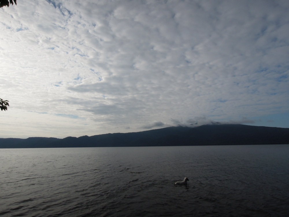 Carlo dans le lac Kussharo
