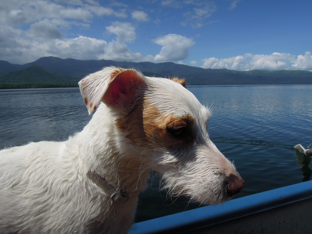 Péninsule de Wakoto et lac Kussharo: Carlo nous a suivi à la nage et nous l'avons repêché... à son grand désespoir