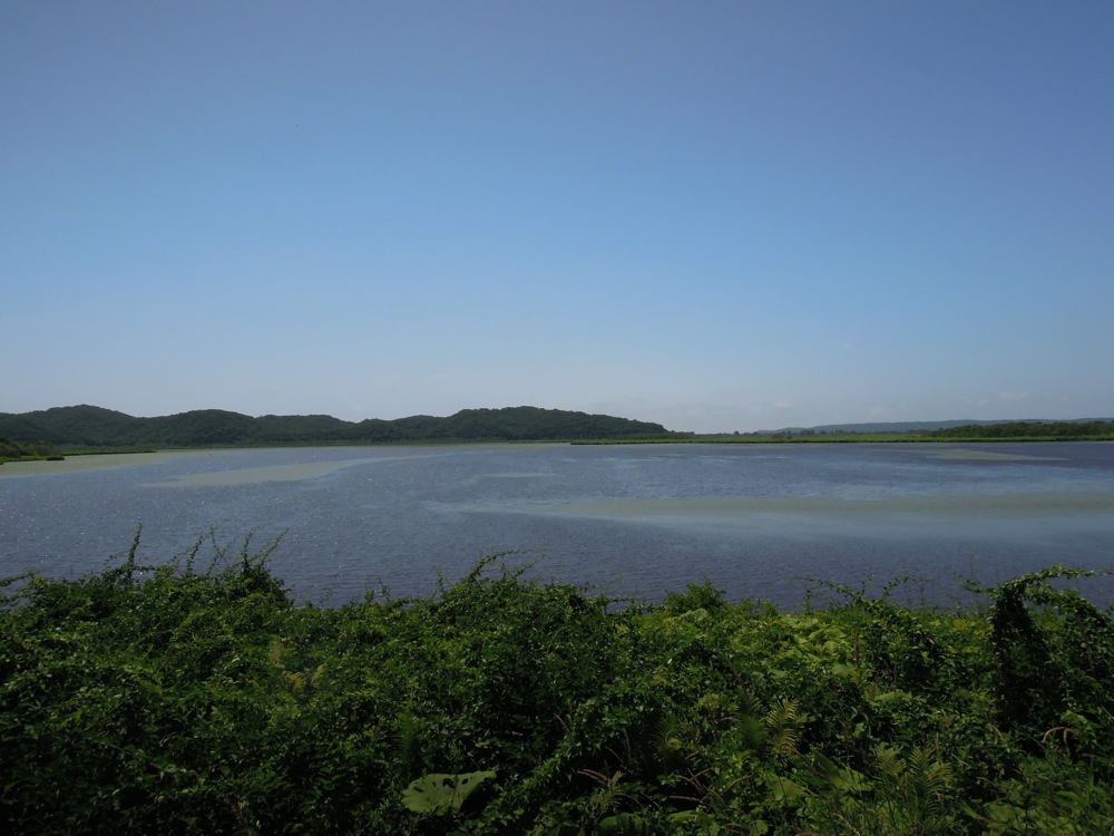 Vue sur les marais de la région de Kushiro