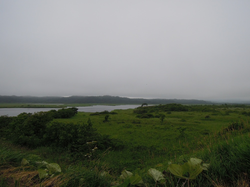 Nous allons camper entre ce lac...