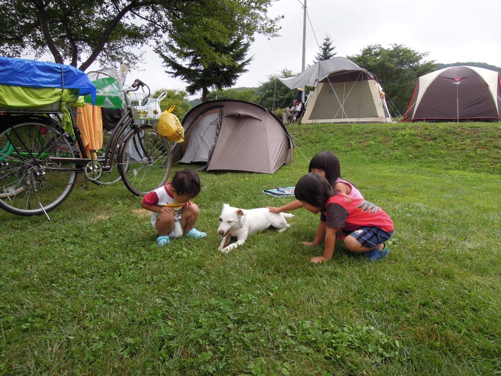 Camping Nauman: nos jeunes voisins sont fans de Carlo, surtout le plus jeune!