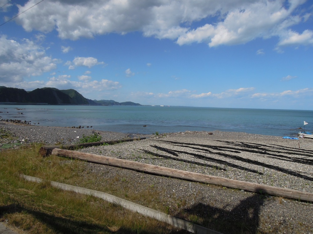 Sur les plages ou les parkings, on fait sécher des algues au soleil