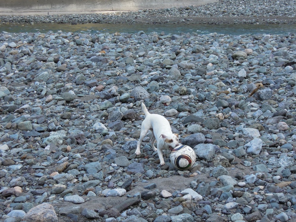 Barbecue: Carlo, futur joueur de Ligue 1?!