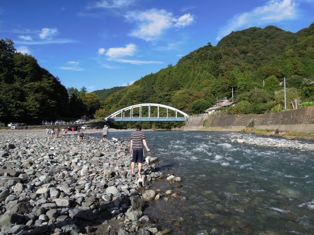 Barbecue: la rivière est un super terrain de jeux... pour les chiens et pour nous!