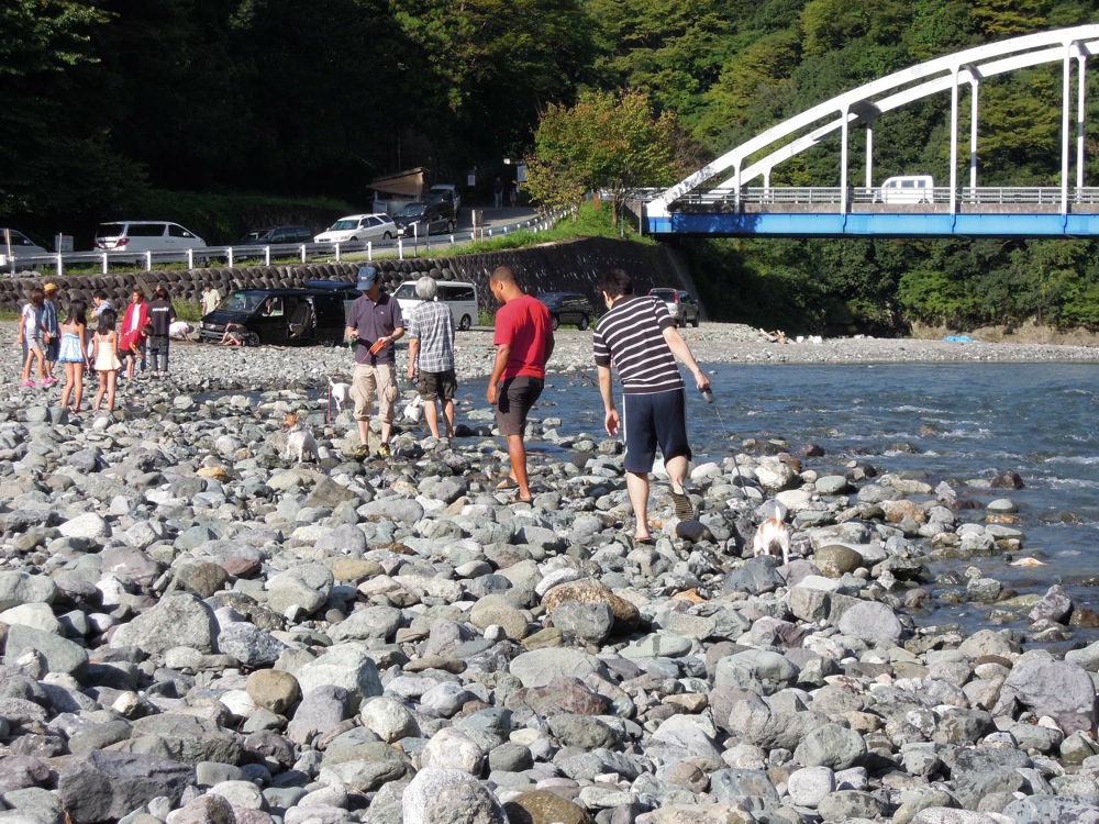 Barbecue: la rivière est un super terrain de jeux... pour les chiens et pour nous!