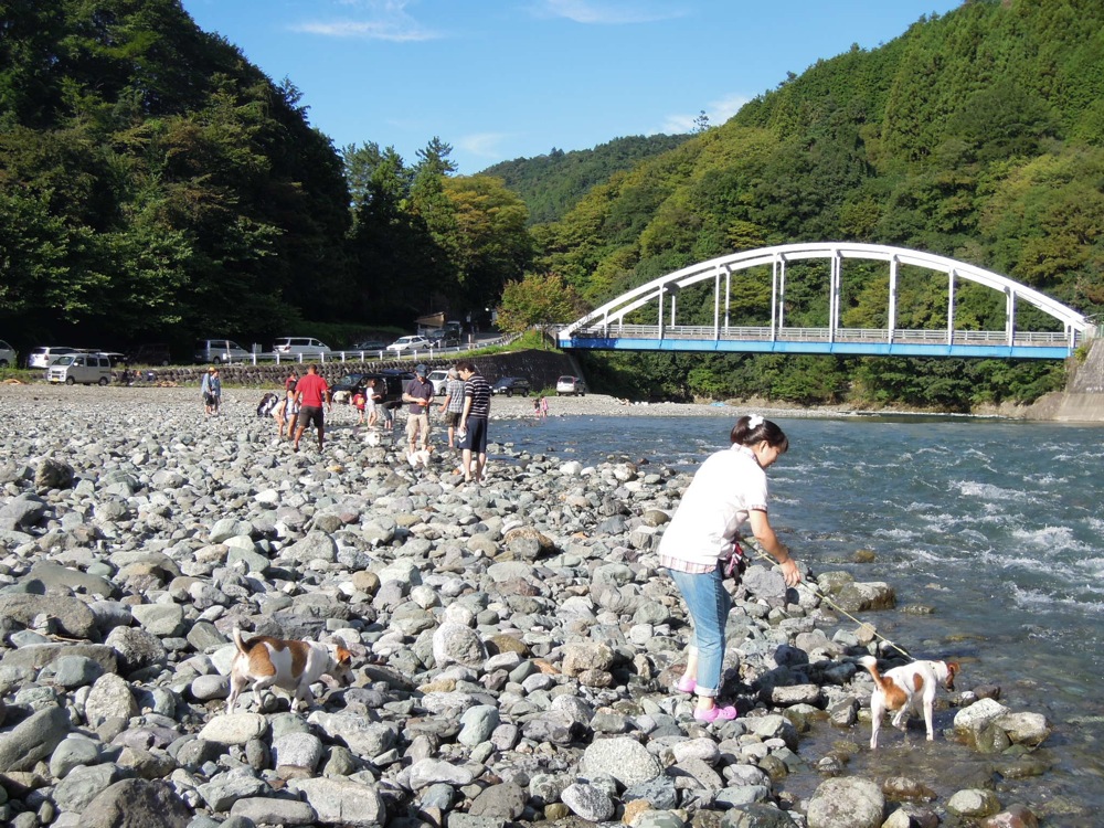 Barbecue: la rivière est un super terrain de jeux... pour les chiens et pour nous!