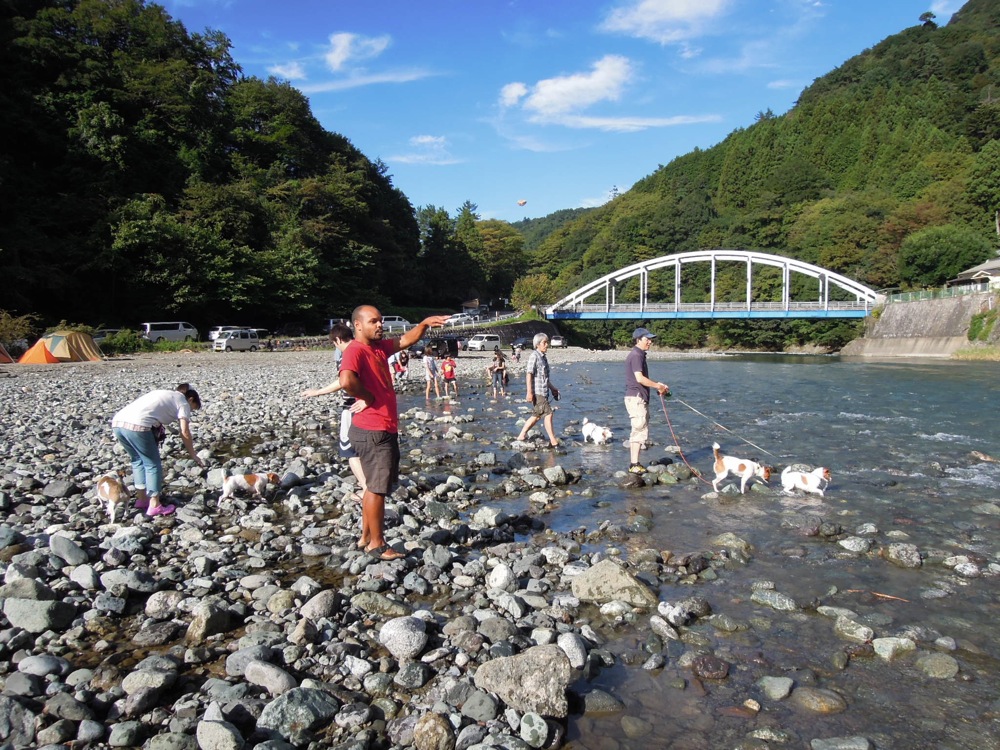 Barbecue: la rivière est un super terrain de jeux... pour les chiens et pour nous!