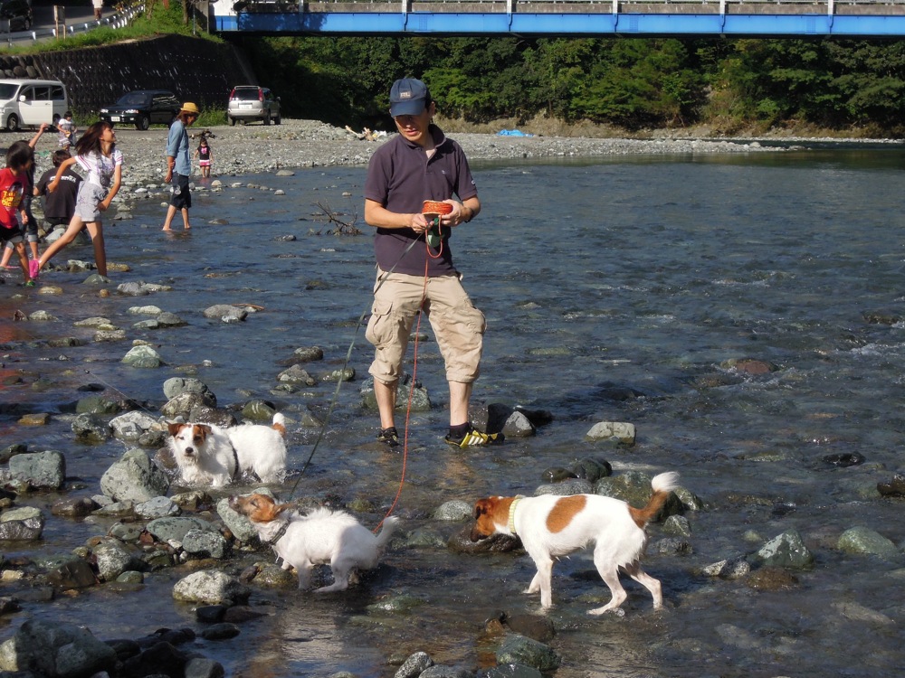 Barbecue: la rivière est un super terrain de jeux... pour les chiens et pour nous!