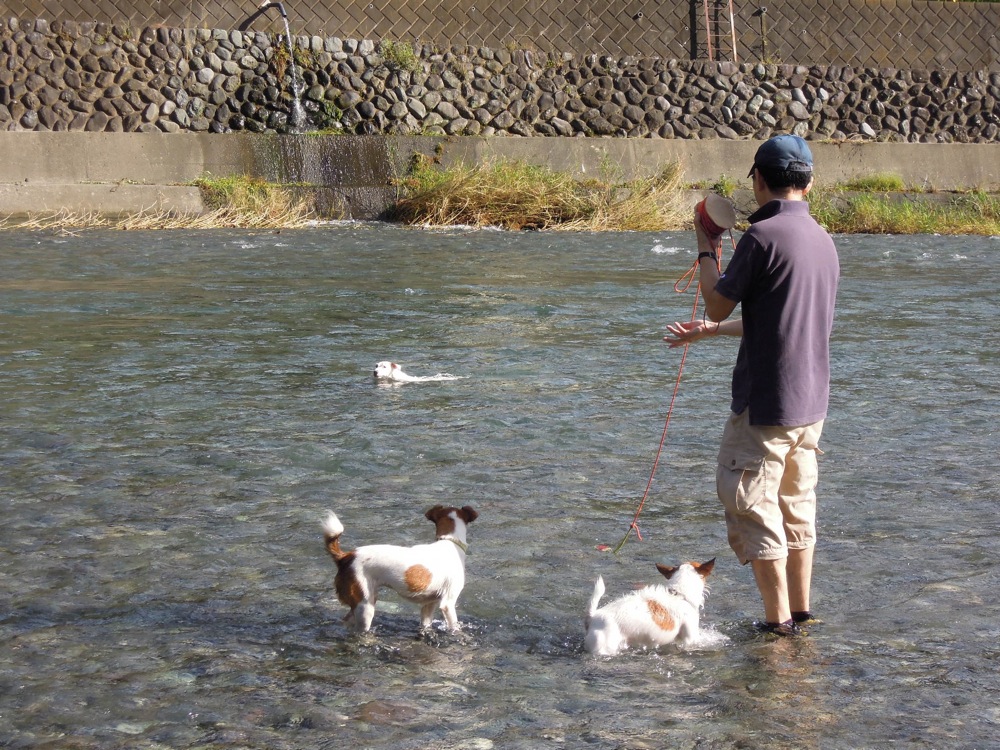 Barbecue: la rivière est un super terrain de jeux... pour les chiens et pour nous!