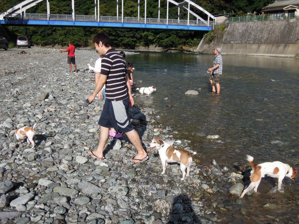 Barbecue: la rivière est un super terrain de jeux... pour les chiens et pour nous!