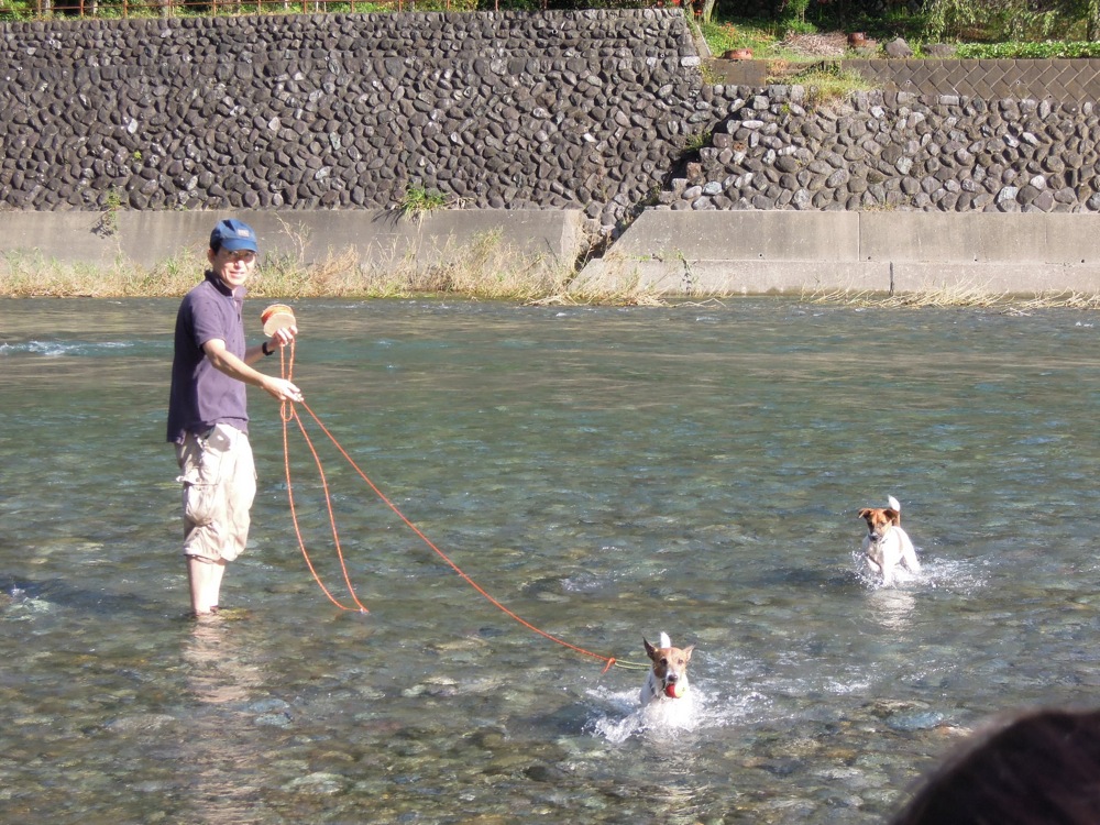 Barbecue: la rivière est un super terrain de jeux... pour les chiens et pour nous!