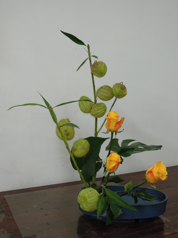 Ikebana: composition réalisée par François