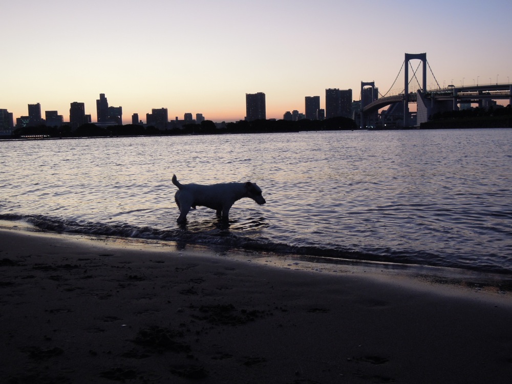 La plage de Odaiba (île artificielle et port de Tokyo)