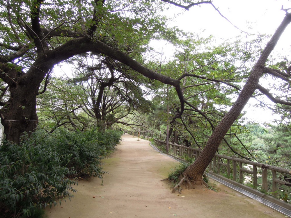 Promenade matinale avec Carlo le long des voies ferrées: près de Yotsuya