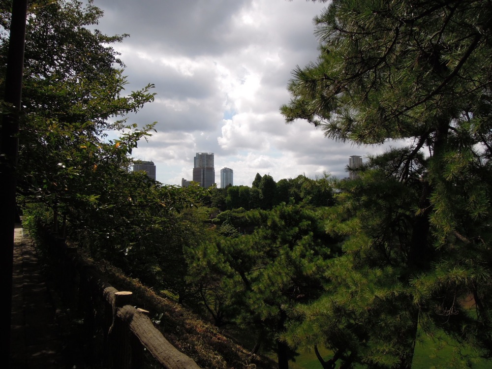 Promenade matinale avec Carlo le long des voies ferrées: dans cette oasis de verudre), les buildings ne sont jamais très loin!