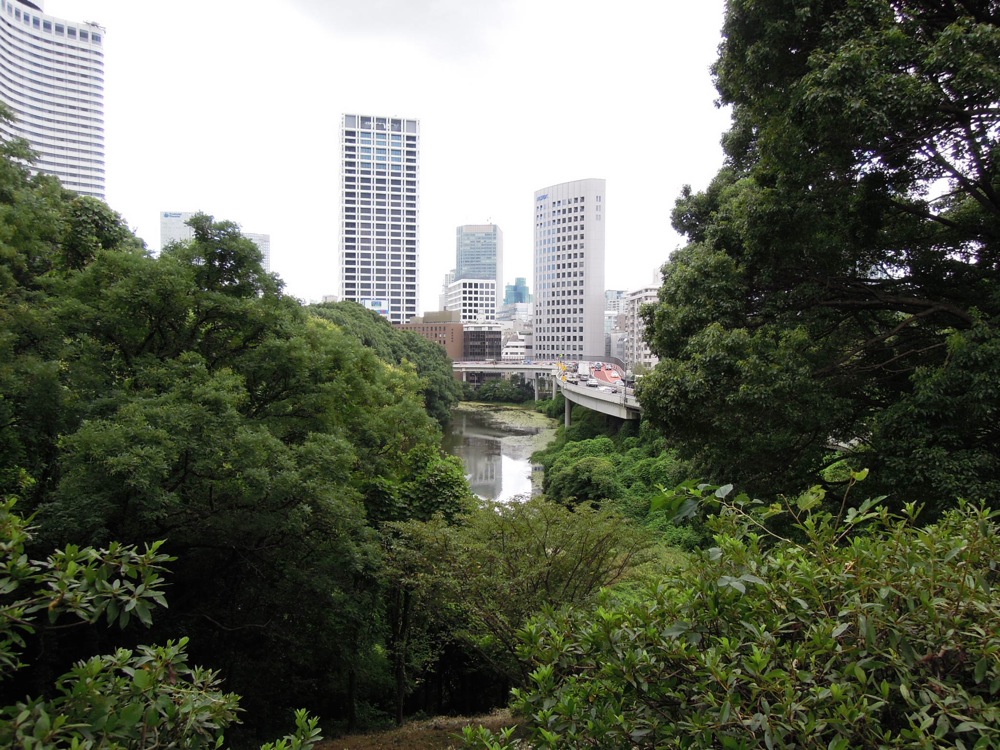 Promenade matinale avec Carlo le long des voies ferrées: On voit les douves du Palais Impérial et juste à côté les enchevêtrements de routes et autoroutes puis les buildings