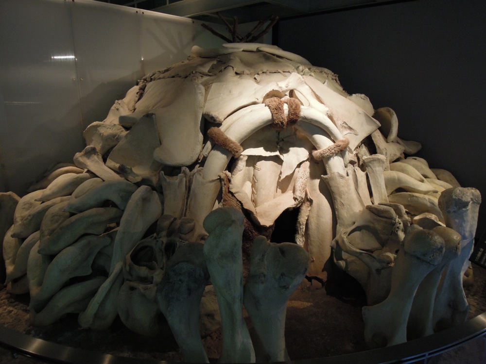 Musée des sciences et de la nature: un foyer cossu à base d'os géants!