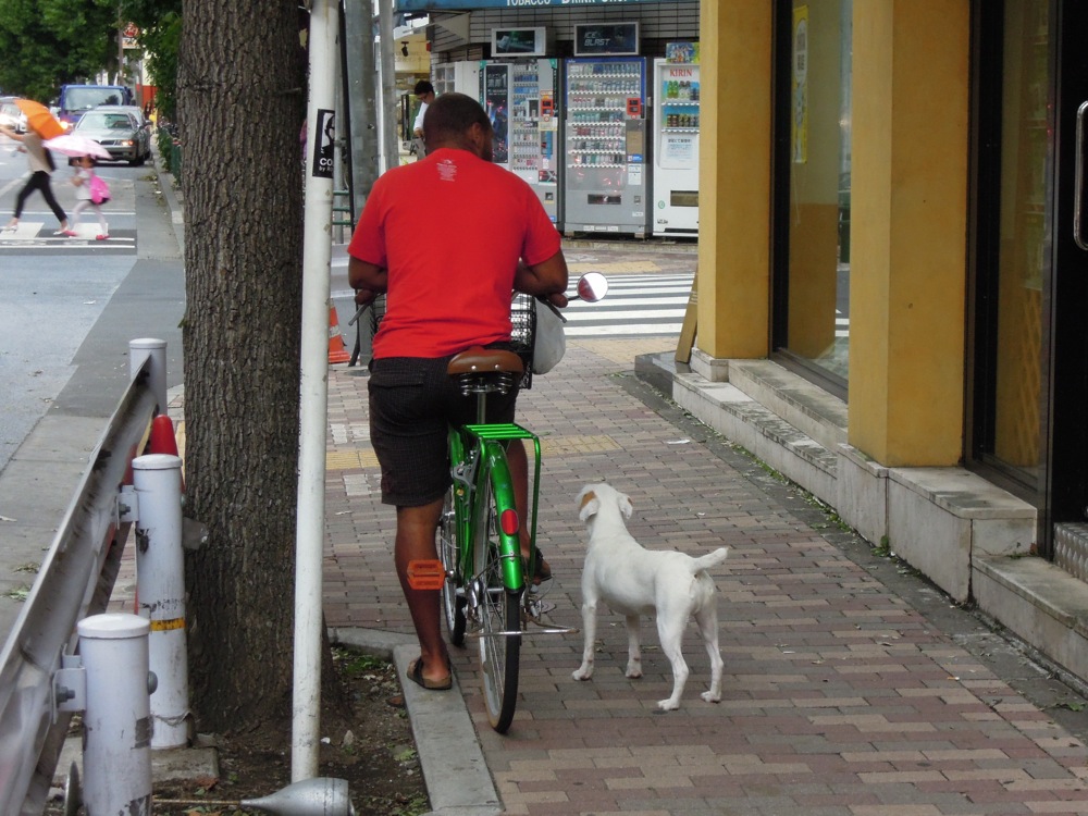 Photos de Tokyo... en vrac