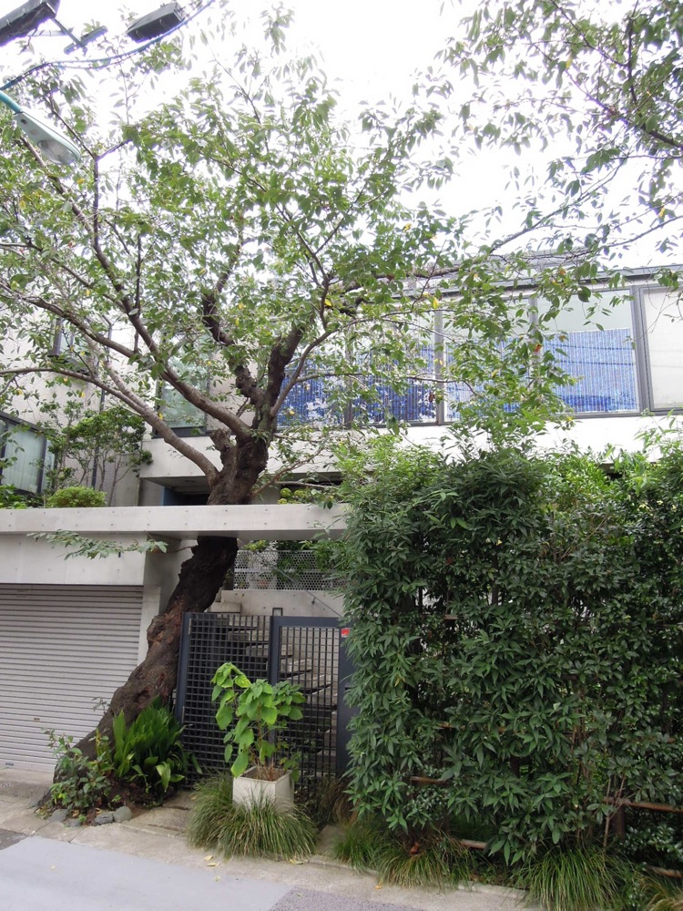 Balade autour de Yotsuya, notre quartier, nos voisins...